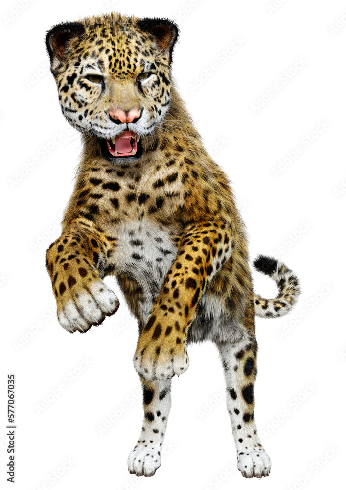 Fototapeta premium 3D Rendering Big Cat Jaguar on White