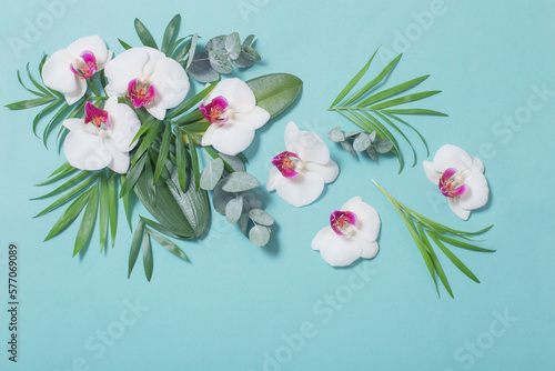 Fototapeta Naklejka Na Ścianę i Meble -  orchid flowers and green leaves on mint color paper background