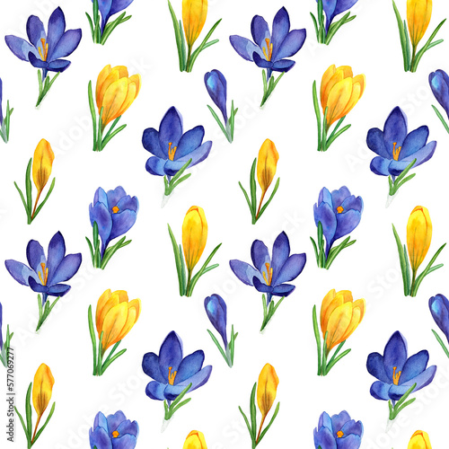 Spring Seamless pattern of blue and yellow crocuses flowers. Watercolor hand painted textile ornament. Botanical design for fabric, packaging, wallpaper, covers. Easter holiday decoration.