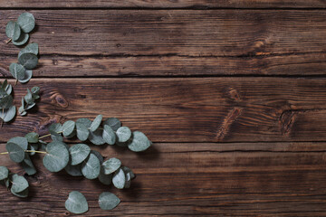 eucalyptus on old dark wooden background