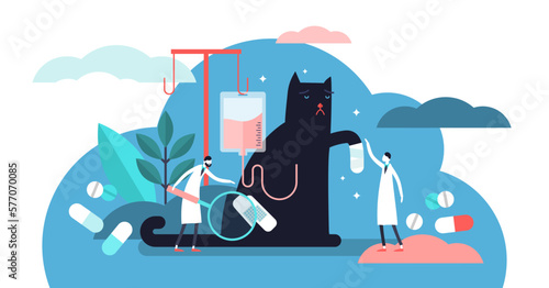 Veterinarian occupation illustration, transparent background. Flat tiny animals health persons concept. Cats and dogs clinic care with treatment medicine and pills.