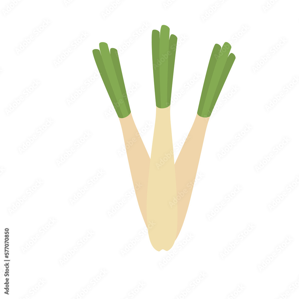 png image onion icon on transparent background png image onion icon on transparent background