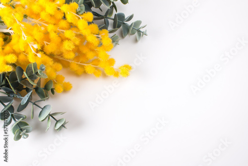 Bouquet of yellow mimosa on a white background. The concept of the International Women's Day on March 8, spring festival photo