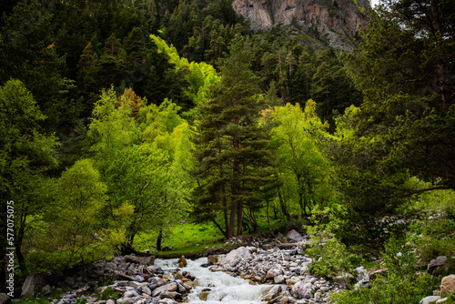 Mountain river water flowing through rocks in green forest. Colorful landscape with mountains, beautiful small river, green forest, blue sky with clouds in summer. Mountain valley journey.