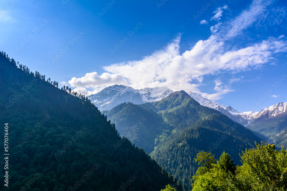 Mountains of Himalayas & alpine trees
