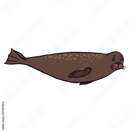 Sea lion with adorable expression on white background