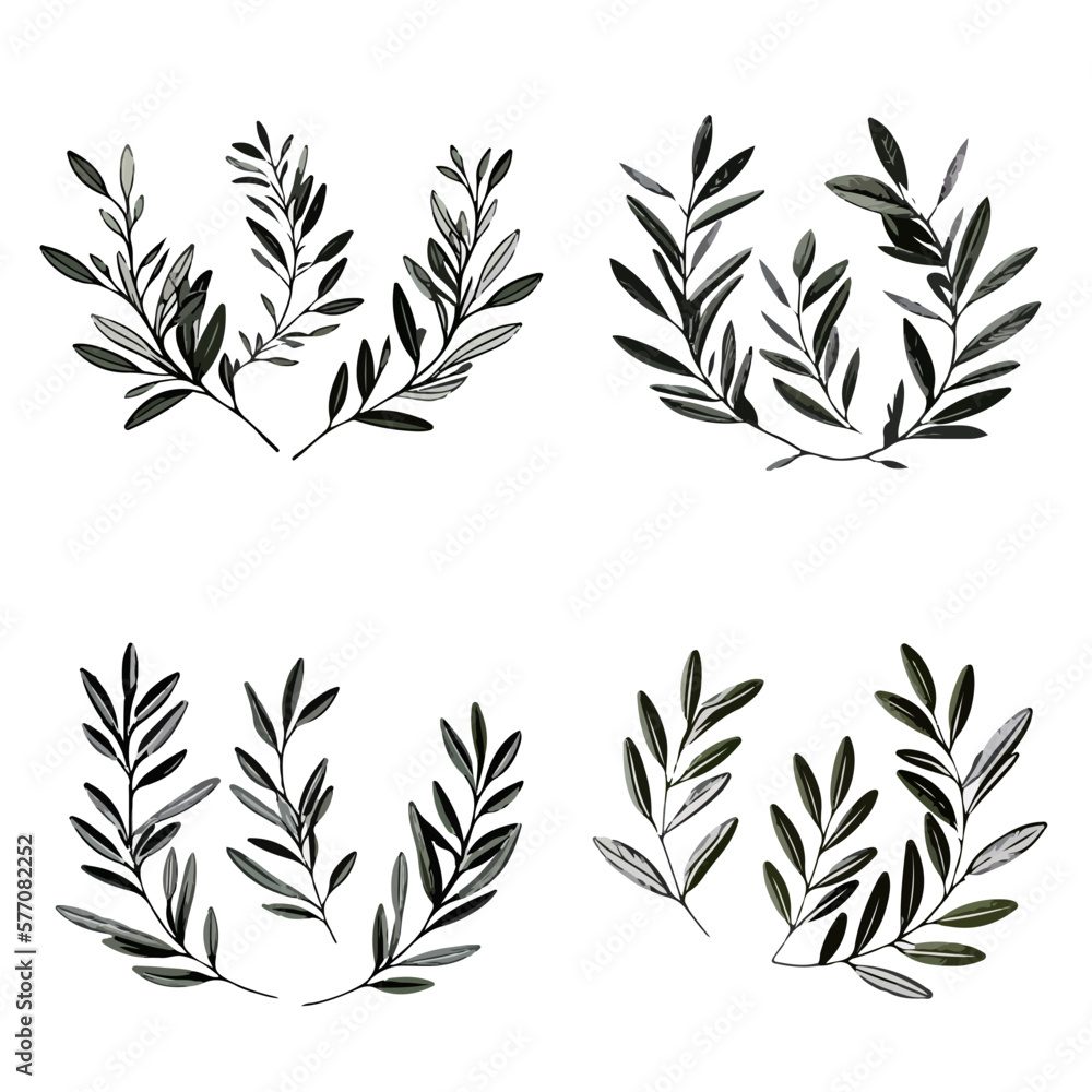 Bay leaves. Olive tree. Simple vector plant pattern. Black and white