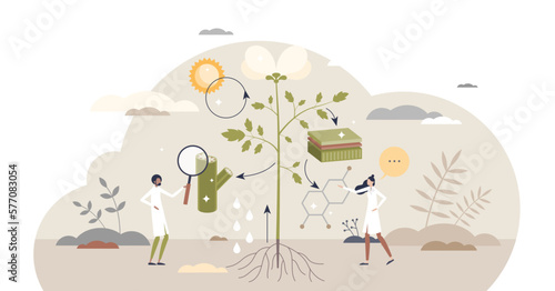 Plant physiology research or cellular biology examination tiny person concept, transparent background. Nature process education with biological cells and tissue study illustration.
