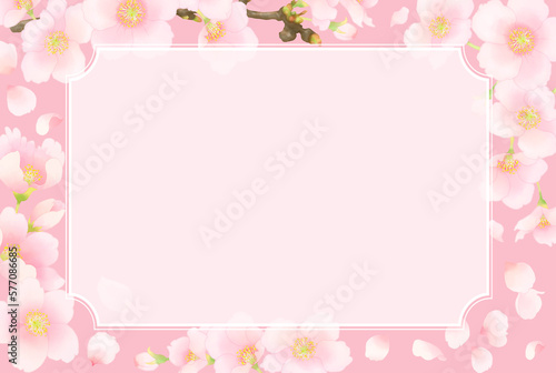 単色背景と春の花フレーム（ソメイヨシノ）