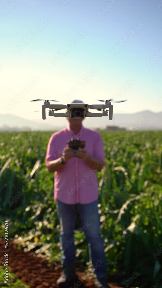 Drone as head of person. Operator behind the drone flying in a sustainable crop field. Technology concept in the agricultural industry Drone as head of person. Operator behind the drone flying in a sustainable crop field. Technology concept in the agricultural industry