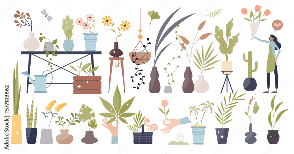 Flowers and plants elements with leafs in pots tiny person collection set, transparent background. Nature beauty and green growing foliage items for beautiful decoration assets illustration.