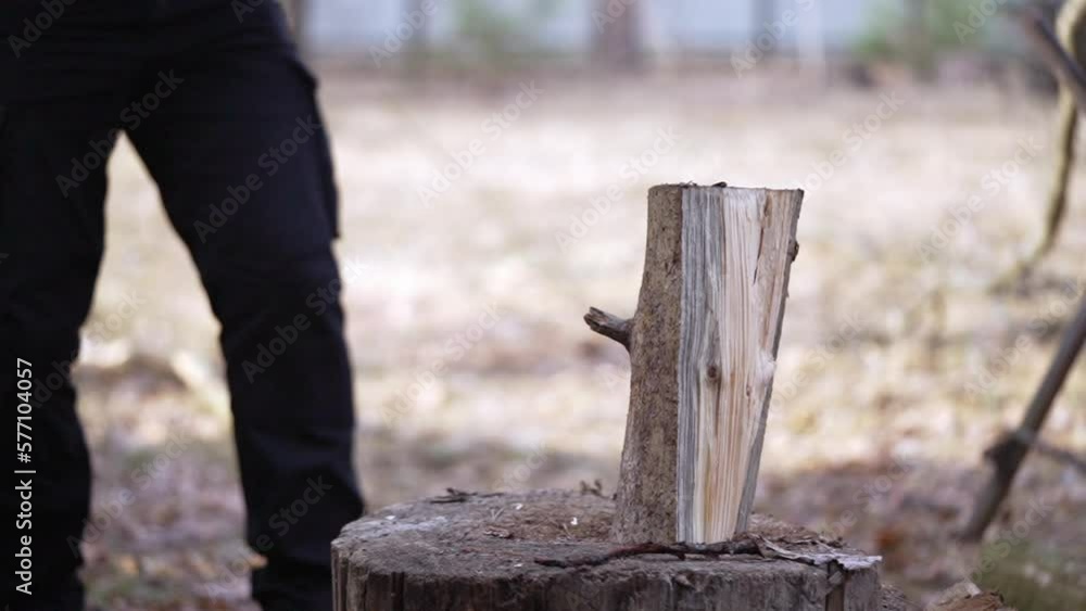 Breaking a part of a log into pieces. Slow motion video Breaking a part of a log into pieces. Slow motion video