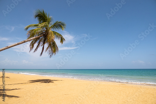 Fototapeta Naklejka Na Ścianę i Meble -  Beautiful view of sea, palms and golden sand of Playa Coson, near Las Terrenas, in the Samana Peninsula of the Dominican Republic. Tropical paradise, exotic beach destination.