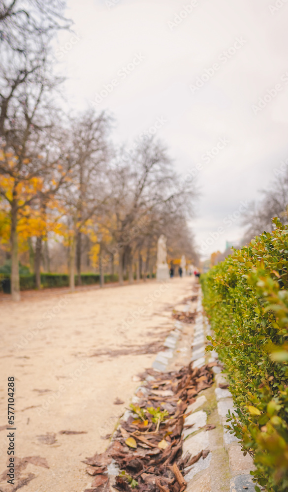 Naklejka premium City park in autumn