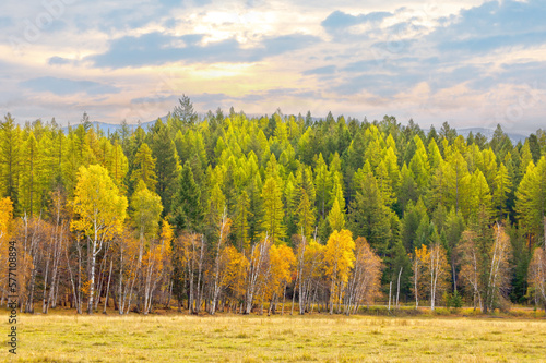 richly saturated autumn foliage and colorful sky located in northwest Montana
