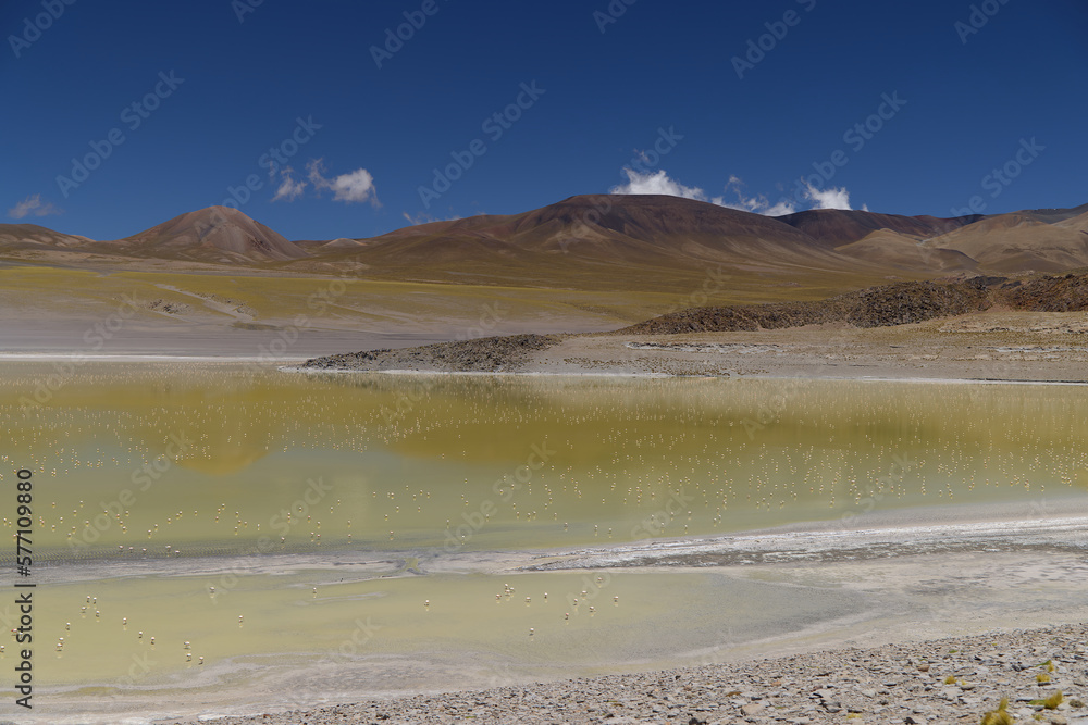 View of the Laguna Grande in the Puna Argentina View of the Laguna Grande in the Puna Argentina