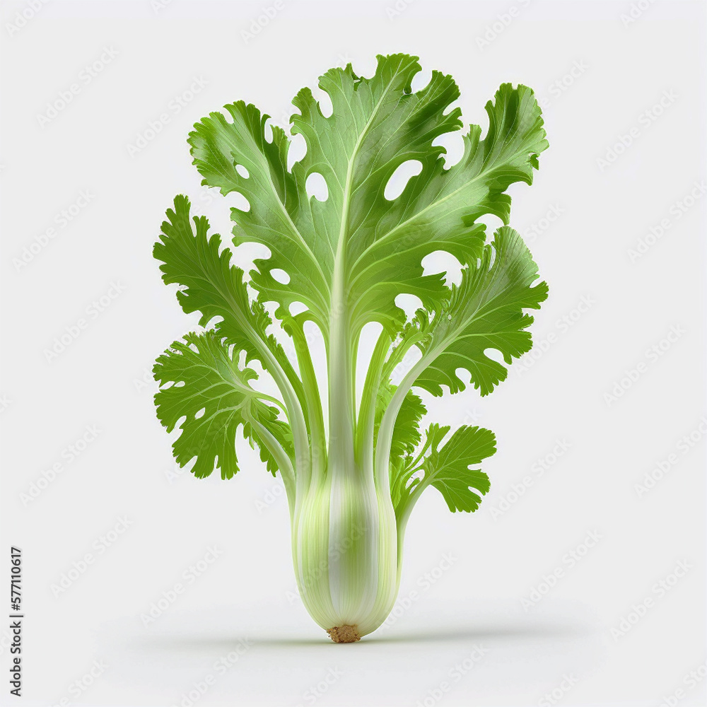 green celery isolated on white green celery isolated on white
