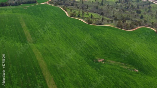 Bitronot Ruhama reserve, Israel, spring blossom at the Negev Desert, 4k aerial drone view