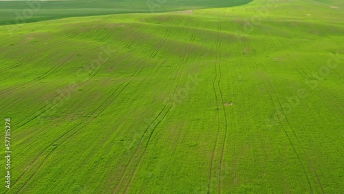 Bitronot Ruhama reserve, Israel, spring blossom at the Negev Desert, 4k aerial drone view