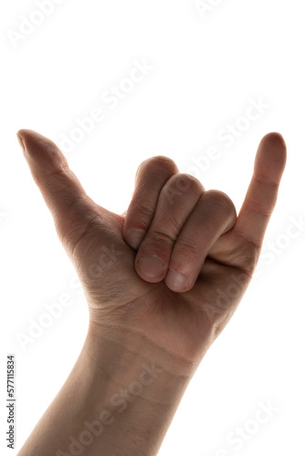 hand gesture. The language of the deaf. Talk with gestures