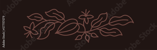 Chocolate candy box design element. Cocoa bean. Beans and branches leaves. Editable outline stroke. Vector line.
