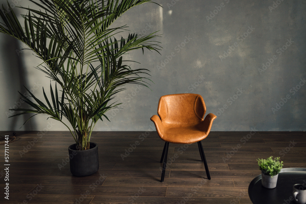 Modern chair and plant against a gray concrete wall