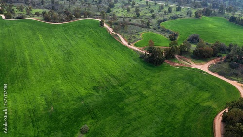 Bitronot Ruhama reserve, Israel, spring blossom at the Negev Desert, 4k aerial drone view photo