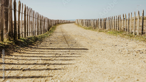 wooden fence on the beach © roxaria