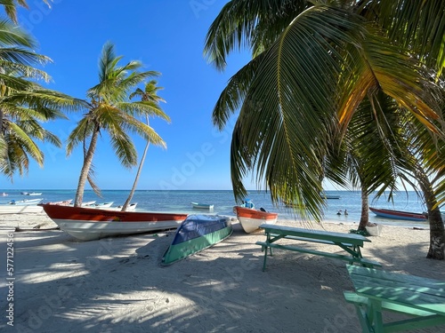 bateaux cocotiers et plage de r  publique dominicaine