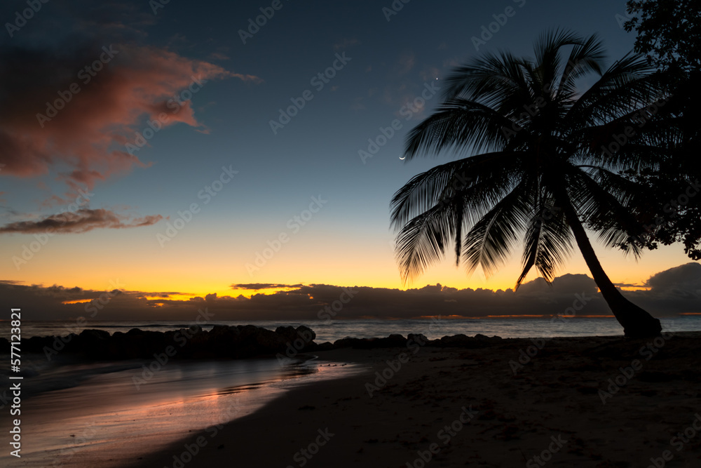 Picturesque sunset on a tropical beach in Barbados with silhouette of palm tree and moon in the sky.