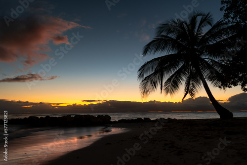 Picturesque sunset on a tropical beach in Barbados with silhouette of palm tree and moon in the sky.