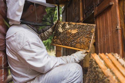 Beekeeper in protective gear, holding a wooden hive frame with worker bees and honeycomb. Beekeeping hobby and lifestyle concept.