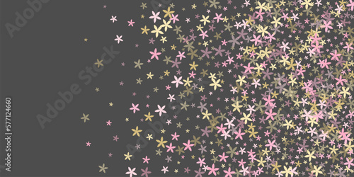 Chamomile rustic flowers vector design. Lovely garden blossom shapes isolated...