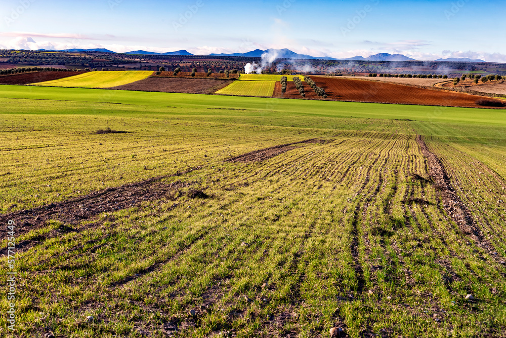 Campo en Huerta de Valdecarabanos