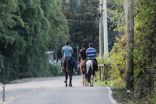 horse and rider on the road © Rodrigo Kampos