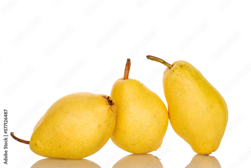 Three ripe yellow pears, close-up, isolated on white. Three ripe yellow pears, close-up, isolated on white.
