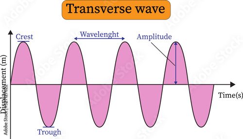  transverse wave presentation . Crest, trough, wavelength and amplitude ,vector illustration  photo