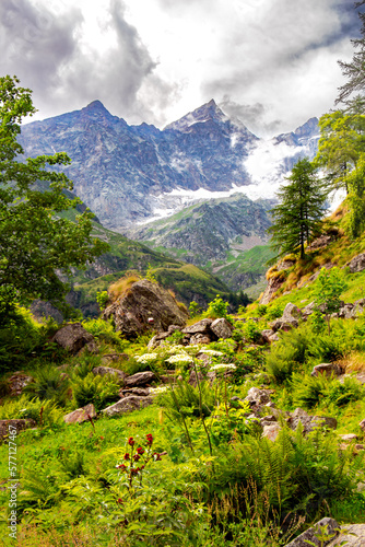 Tableau sur toile Panorama lungo il sentiero nel Parco Naturale dell'Alta Valsesia