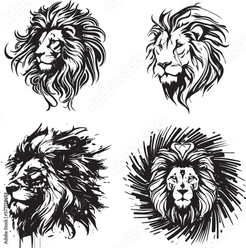 4 teste di leone photo