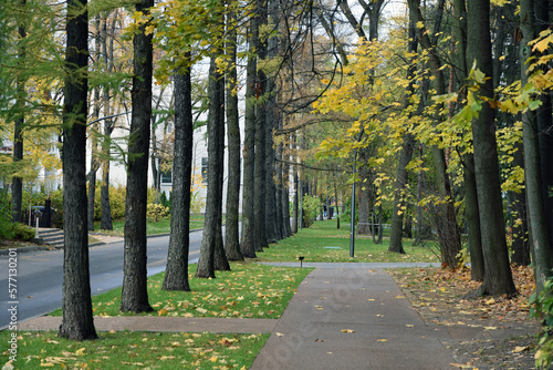 Obraz na płótnie Alley in the park w salonie