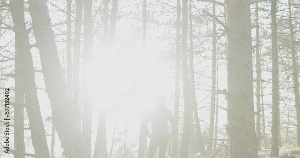 Silhouette of a man standing between trees in a forest with sun rays shining from behind. Vertical camera movement. Silhouette of a man standing between trees in a forest with sun rays shining from behind. Vertical camera movement.