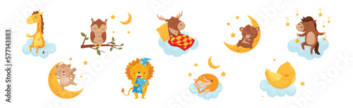Cute Little Animals Sleeping Under Starry Sky with Crescent Vector Set