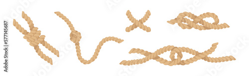 Jute Hemp Rope Cord Curved Pieces and Knot Vector Set