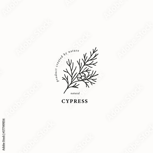 Line art cypress branch illustration