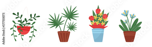 Flower Shop with Different Plant in Pots Vector Set