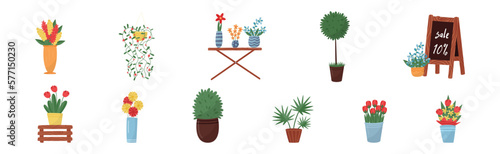 Flower Shop with Different Plant in Pots Vector Set