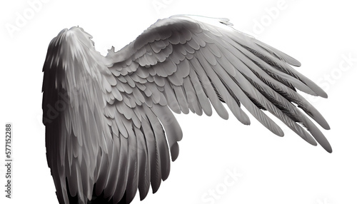 Fototapeta Naklejka Na Ścianę i Meble -  Angel wings isolated on white transparent background
