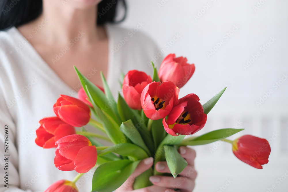 International Womens Day.Close-up of a woman in a white sweater with a bouquet of red tulips International Womens Day.Close-up of a woman in a white sweater with a bouquet of red tulips