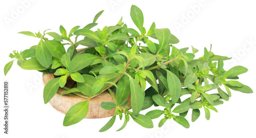 Thyme leaves in a wooden bowl