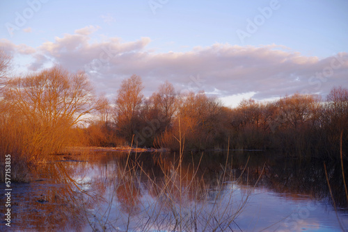 Spring evening landscape on the river. Bare bushes and trees illuminated by the bright setting sun are reflected in the flooded river in early spring.